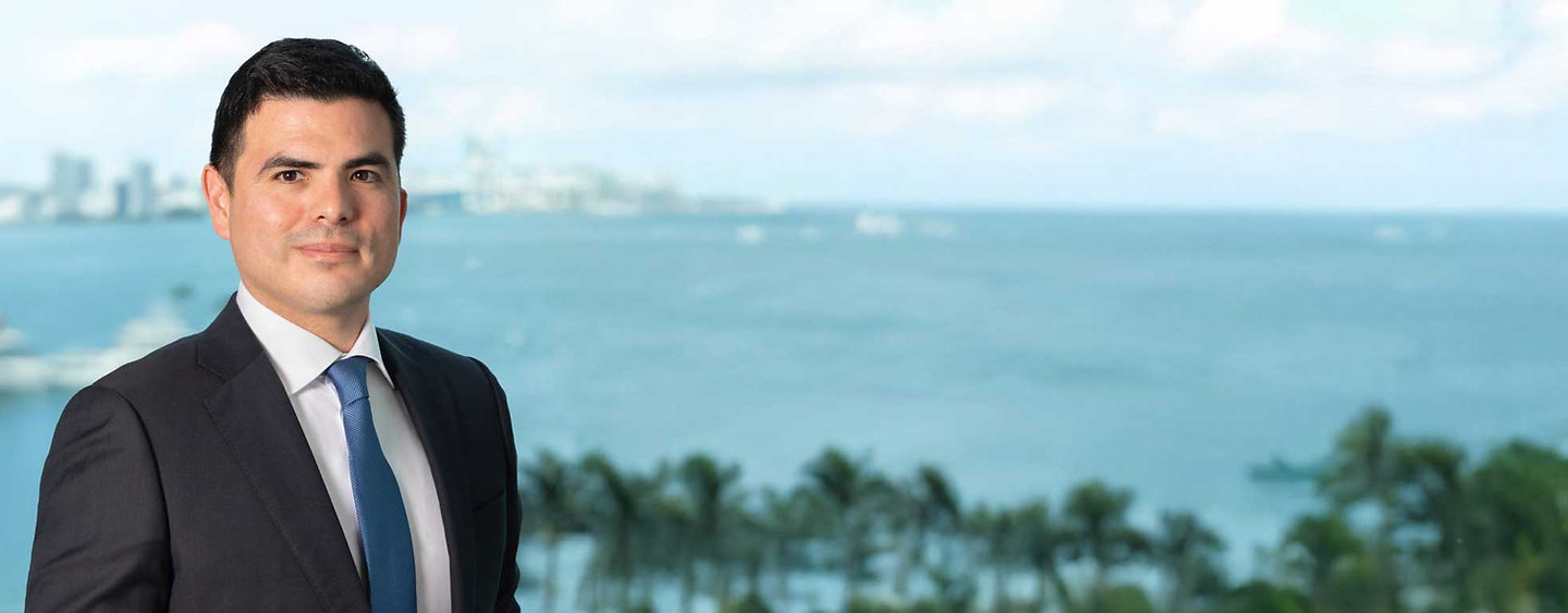 Juan J. Mendoza, Partner at LL Law Firm
