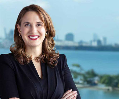 Tara J. Plochocki, Partner at LL Law Firm